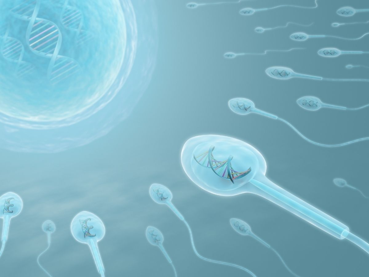 Sperm kalitesi nasıl artırılır?